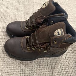 Irish setter Boots