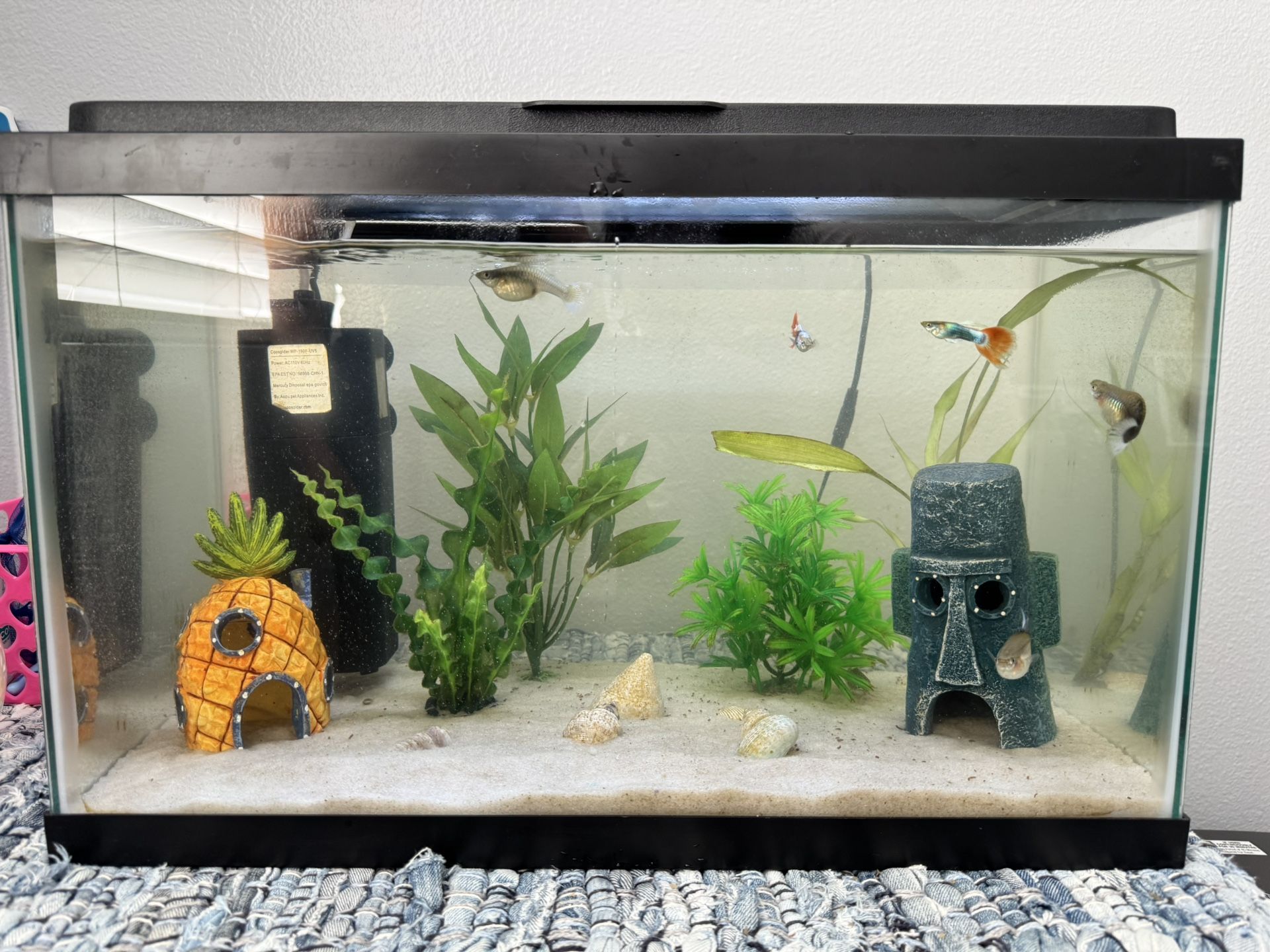 Fish Tank With EVERYTHING