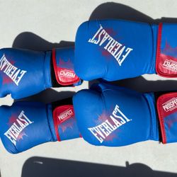Everlast Youth Boxing Gloves