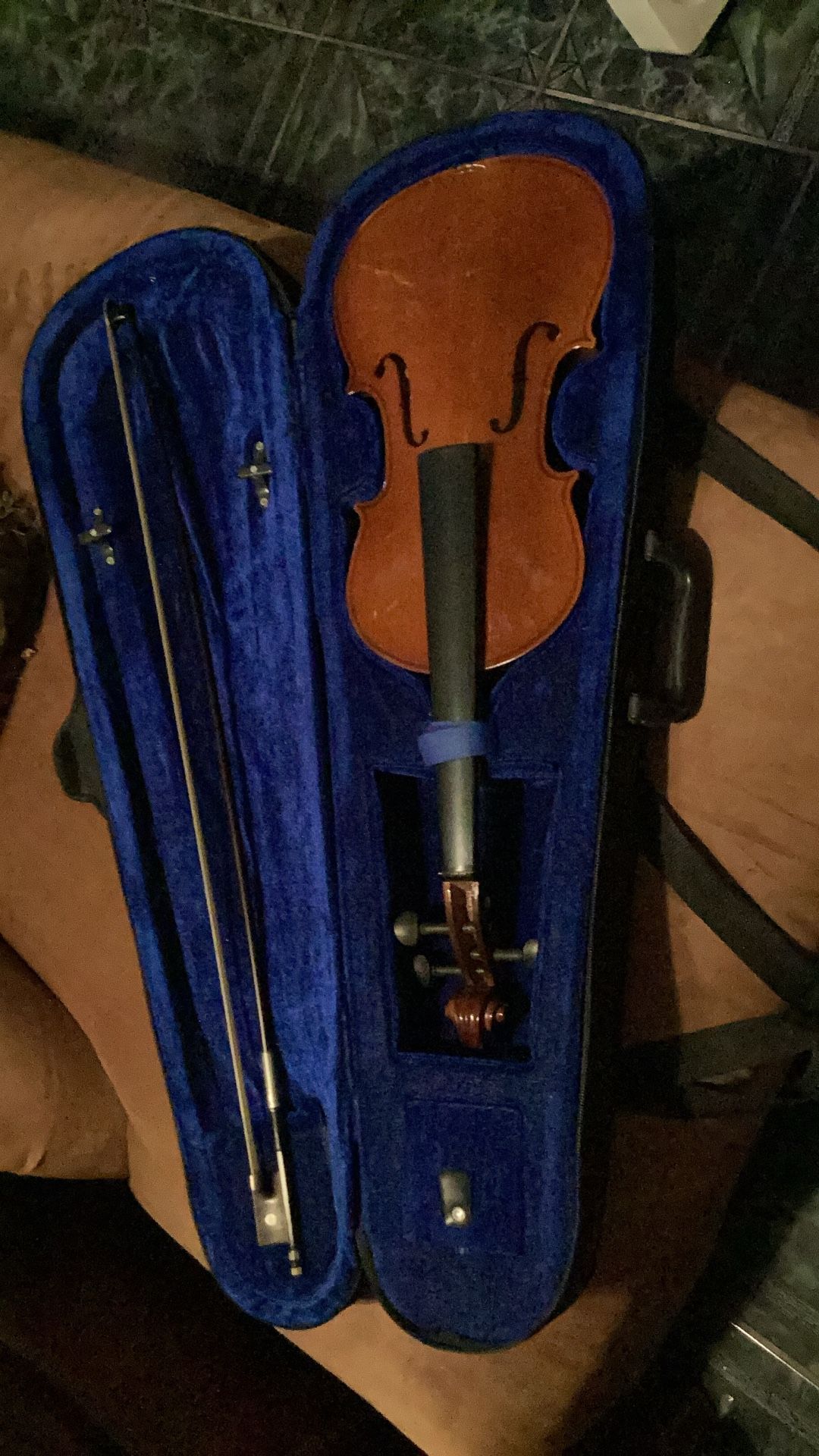 Violin