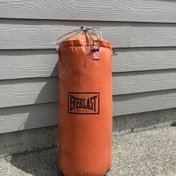 Everlast  Punching Bag 