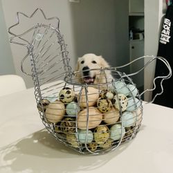 Farm Fresh Organic Free-Range Quail Eggs 