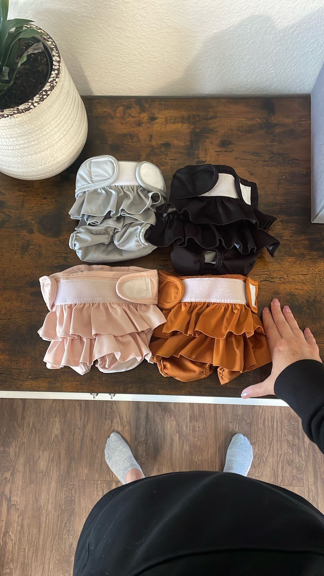New Dog Diapers Female