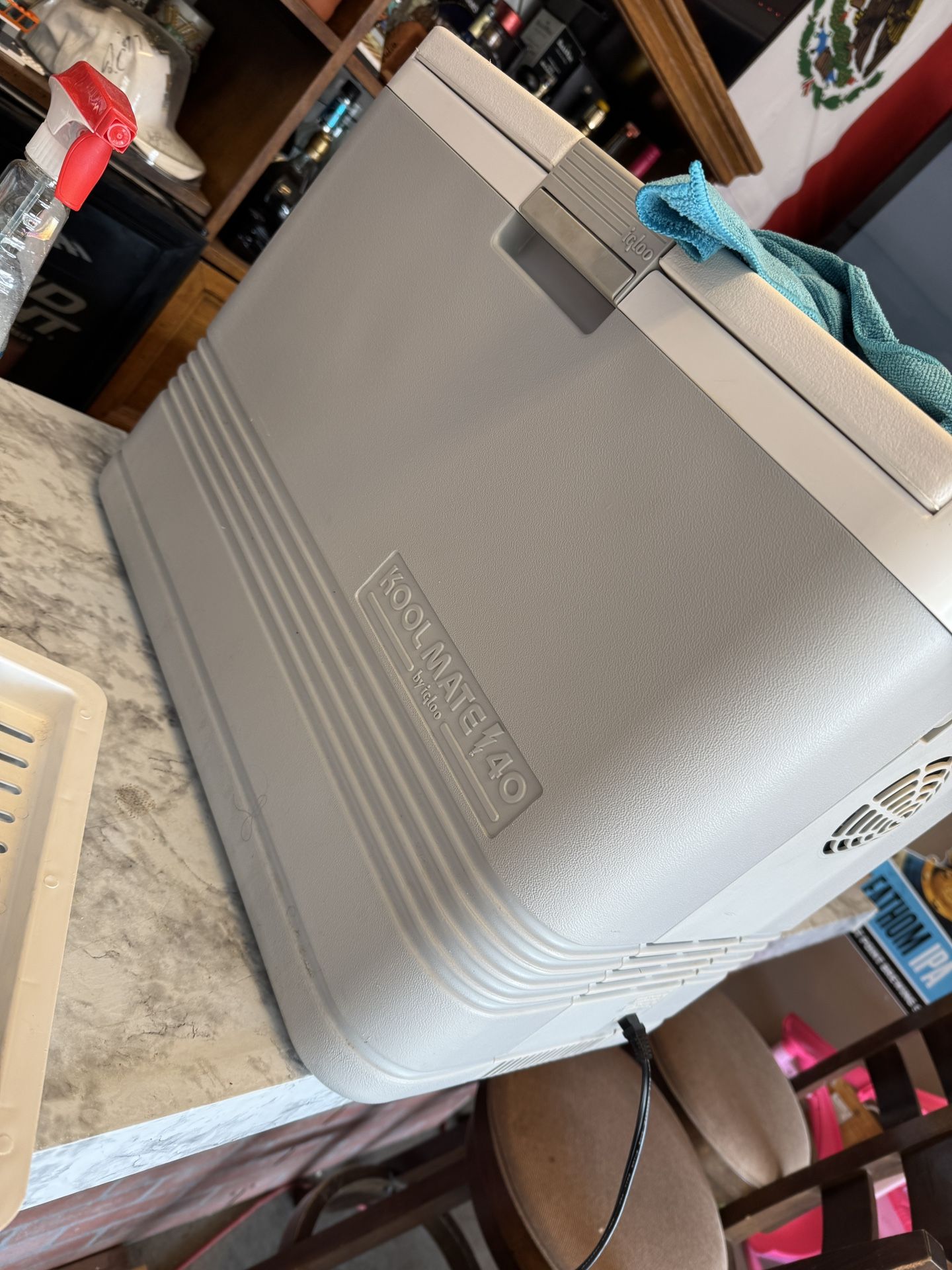 Koolmate Igloo Electric Cooler