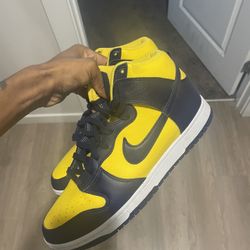 Nike Dunks Michigan