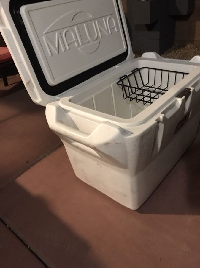 Maluna cooler