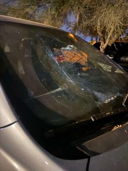New windshield