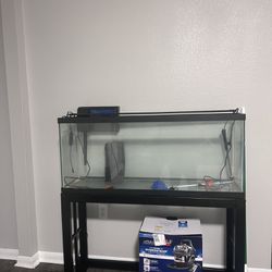 65 Gal Aquarium/Fish Tank  Set Up 