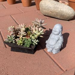Succulent Variety In Flat Square Pot 