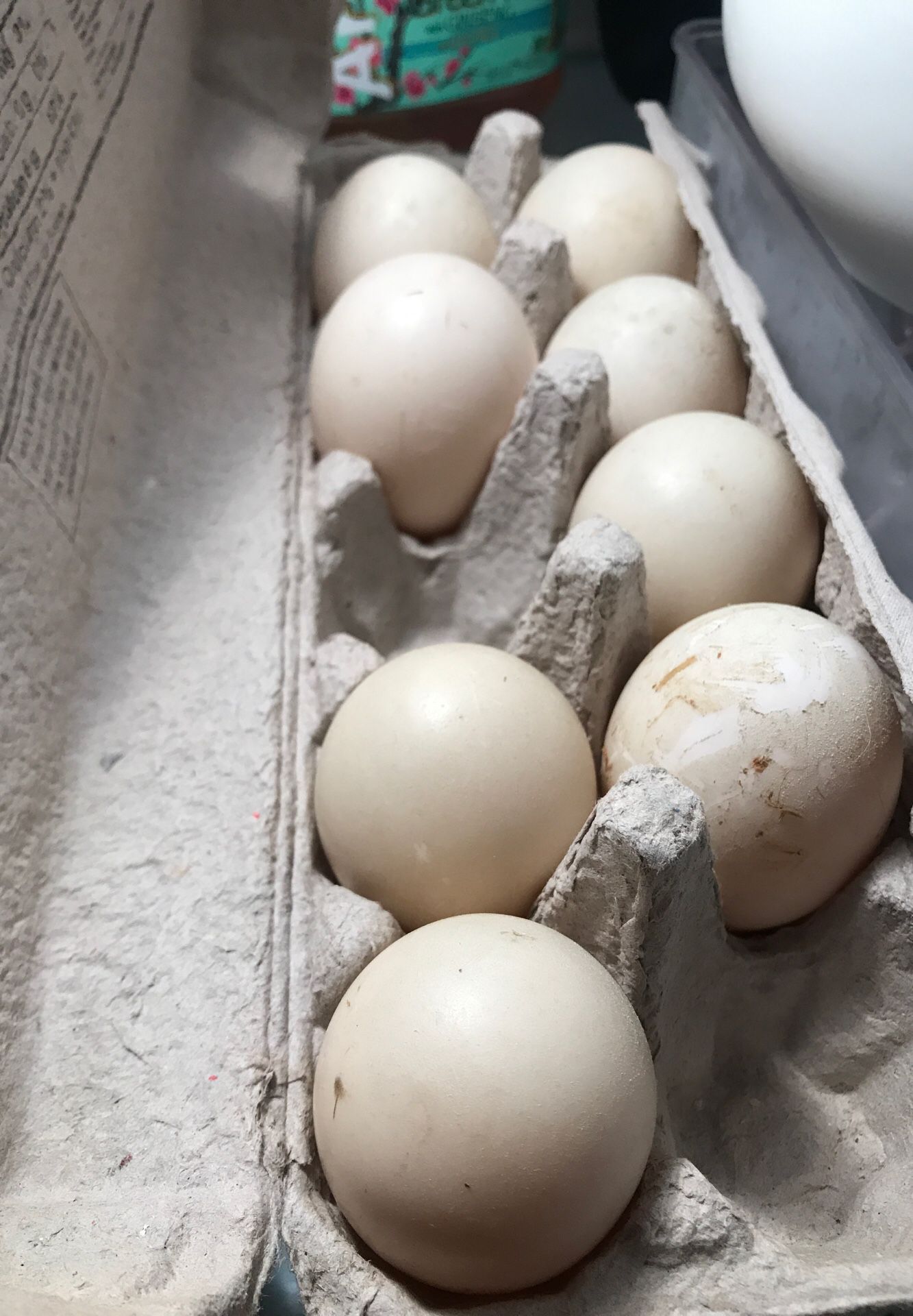 Farm fresh duck eggs