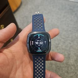 FitBit Sense 2 + Additional Bands