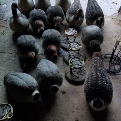 Goose Decoys