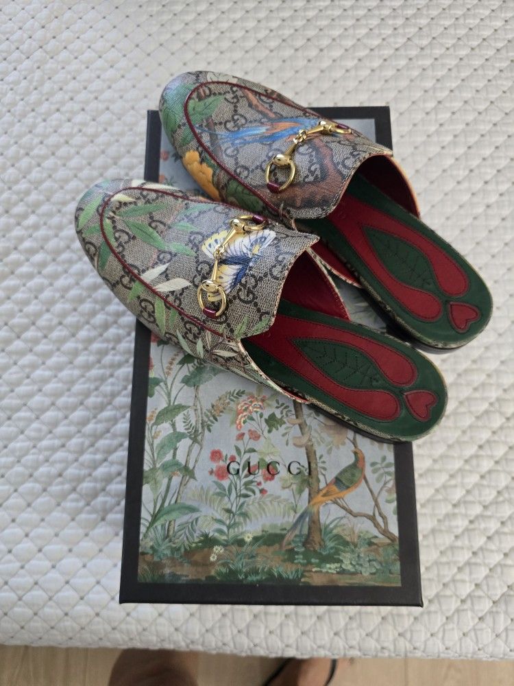 Gucci Shoes
