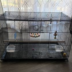 Bird Cage