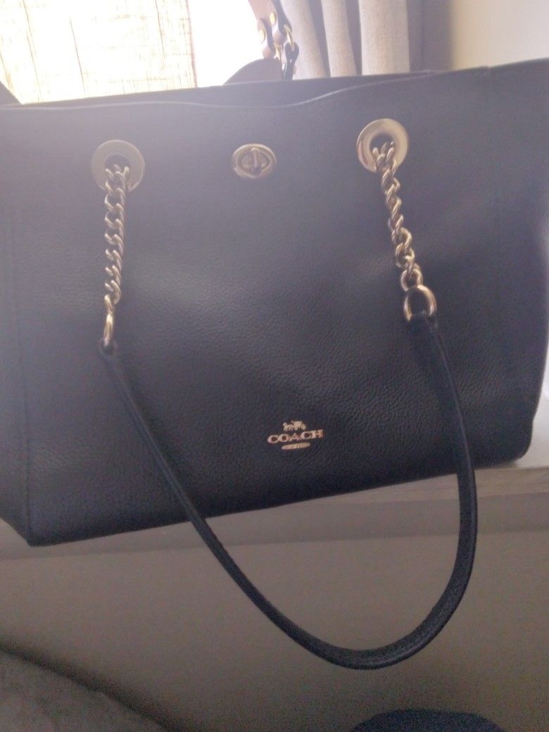 Coach And Michael KORS purse