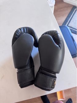 Pro boxing gloves