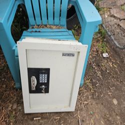 First Alert 2070AF Expandable Anti-Theft Digital Wall Safe

