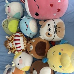 Squishmallows 