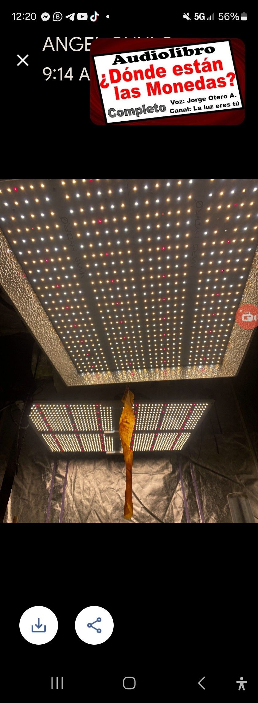 Led Grow Lights 