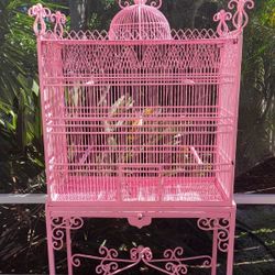 Antique Birdcage 