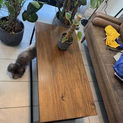 Brown Coffee Table