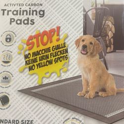 CROCI Charcoal Puppy Pads 23x24 Inch,it’s available as long as you can see it . Odor-Control Carbon Dog Training Pads. 100 pads  The description in th