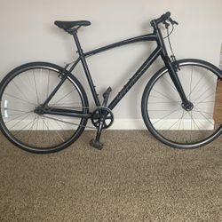 Single Speed Bike. And An E-bike 