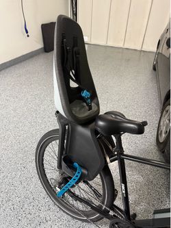 Thule Yepp Nexxt Maxi Child Bike Seat