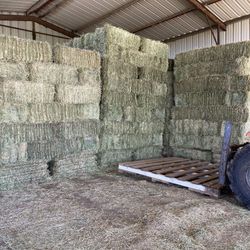 Hay For Sale