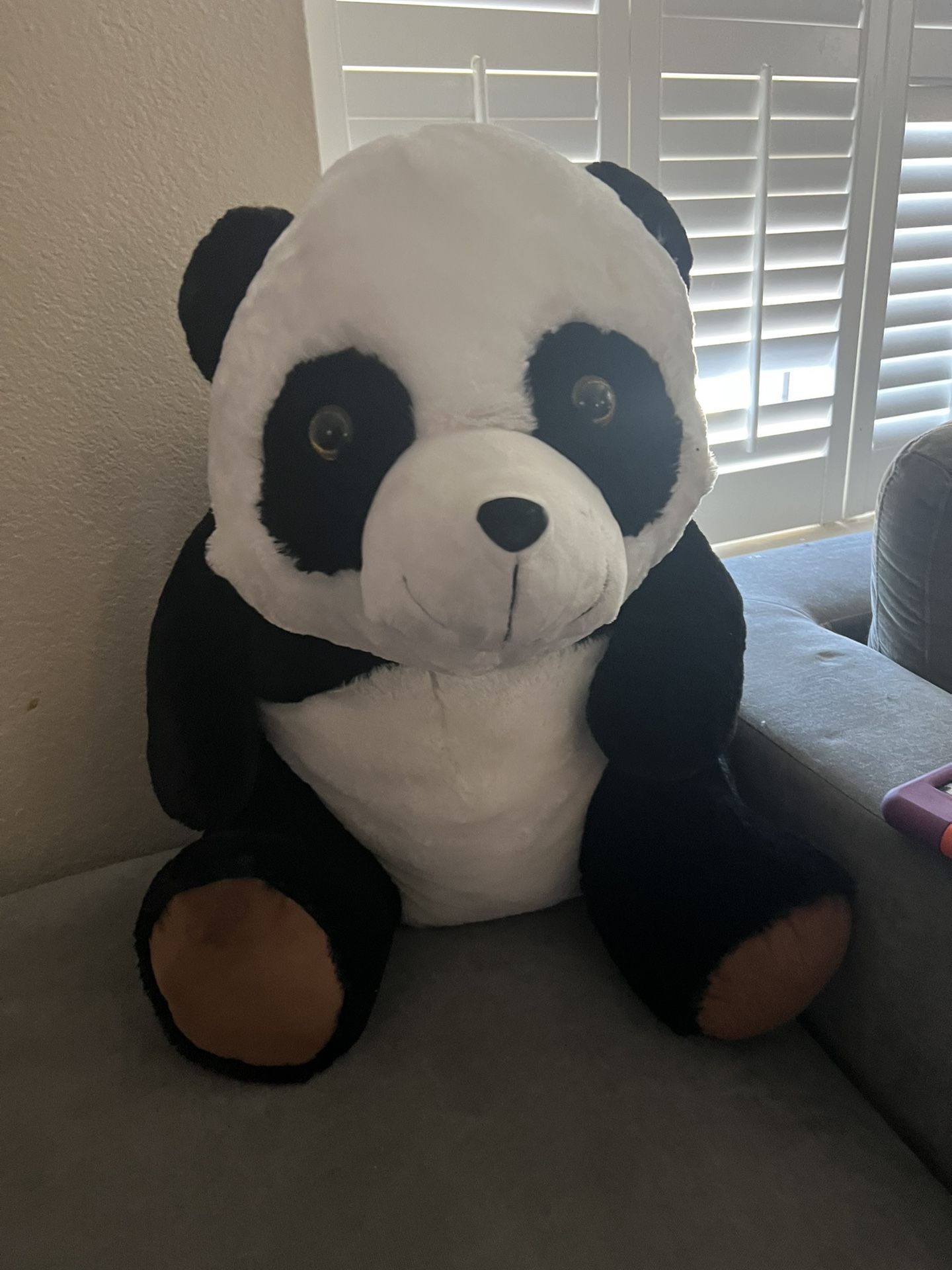 Free stuffed Animal