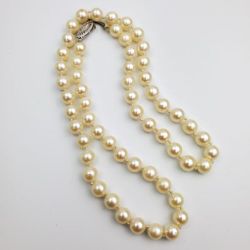 14k Stranded Authentic Akoya Pearls