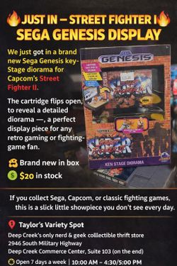 STREET FIGHTER II SEGA GENESIS  diorama DISPLAY 🔥