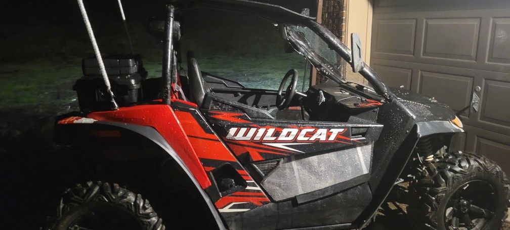 2017 Artic cat (Wild cat 750)