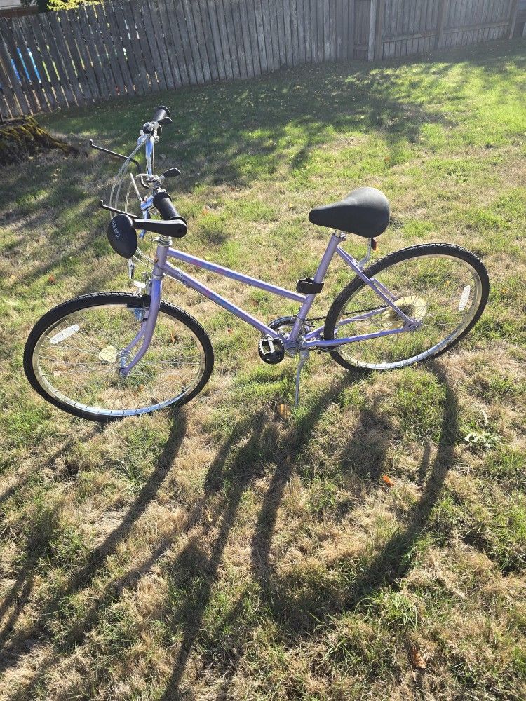 Vintage '80s Schwinn Bicycle In Great Shape