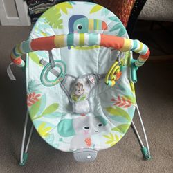 Bright Starts Baby Bouncer