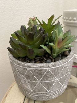 Fake succulent arrangement