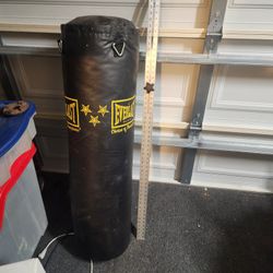 Everlast Heavy Punching Bag