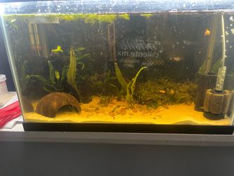10 gallon