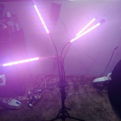 Flexible grow light with timer