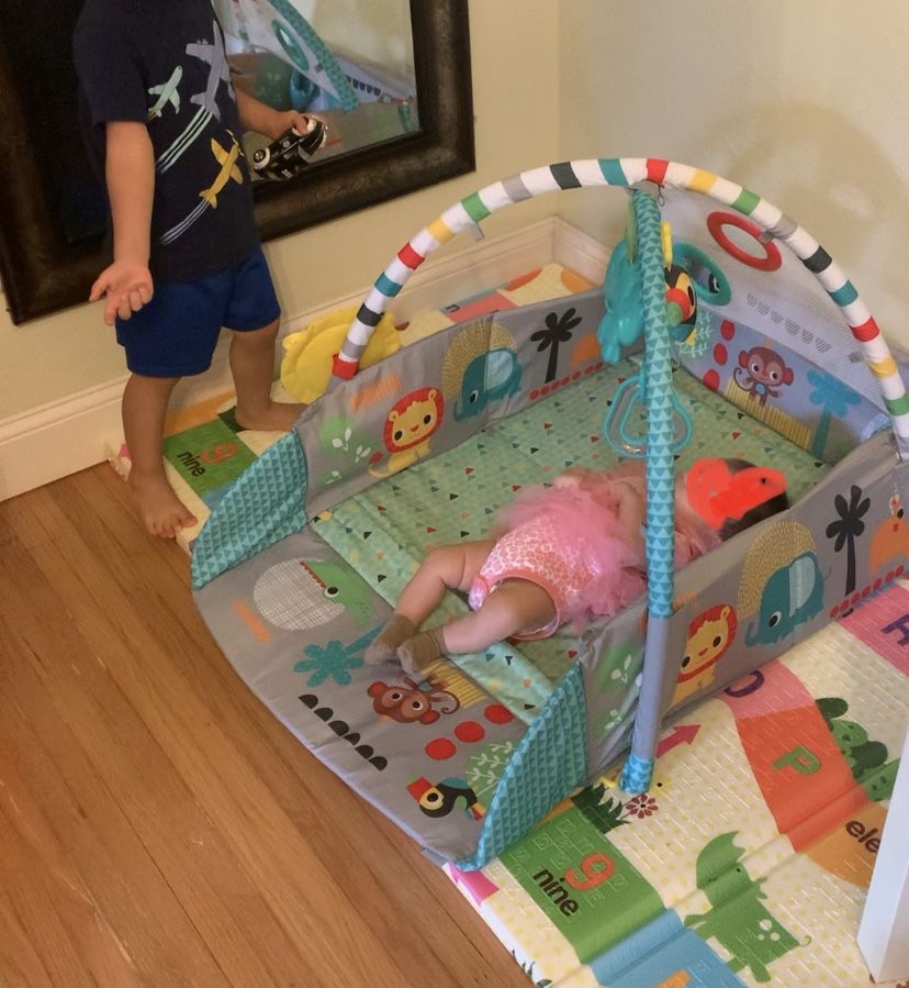 Baby Activity Gym 