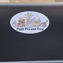 Large Litter Box
