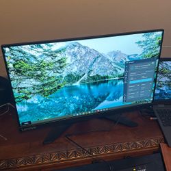 Lenovo Monitor 60hz $100 24”