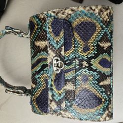 Chanel Python Skin Bag