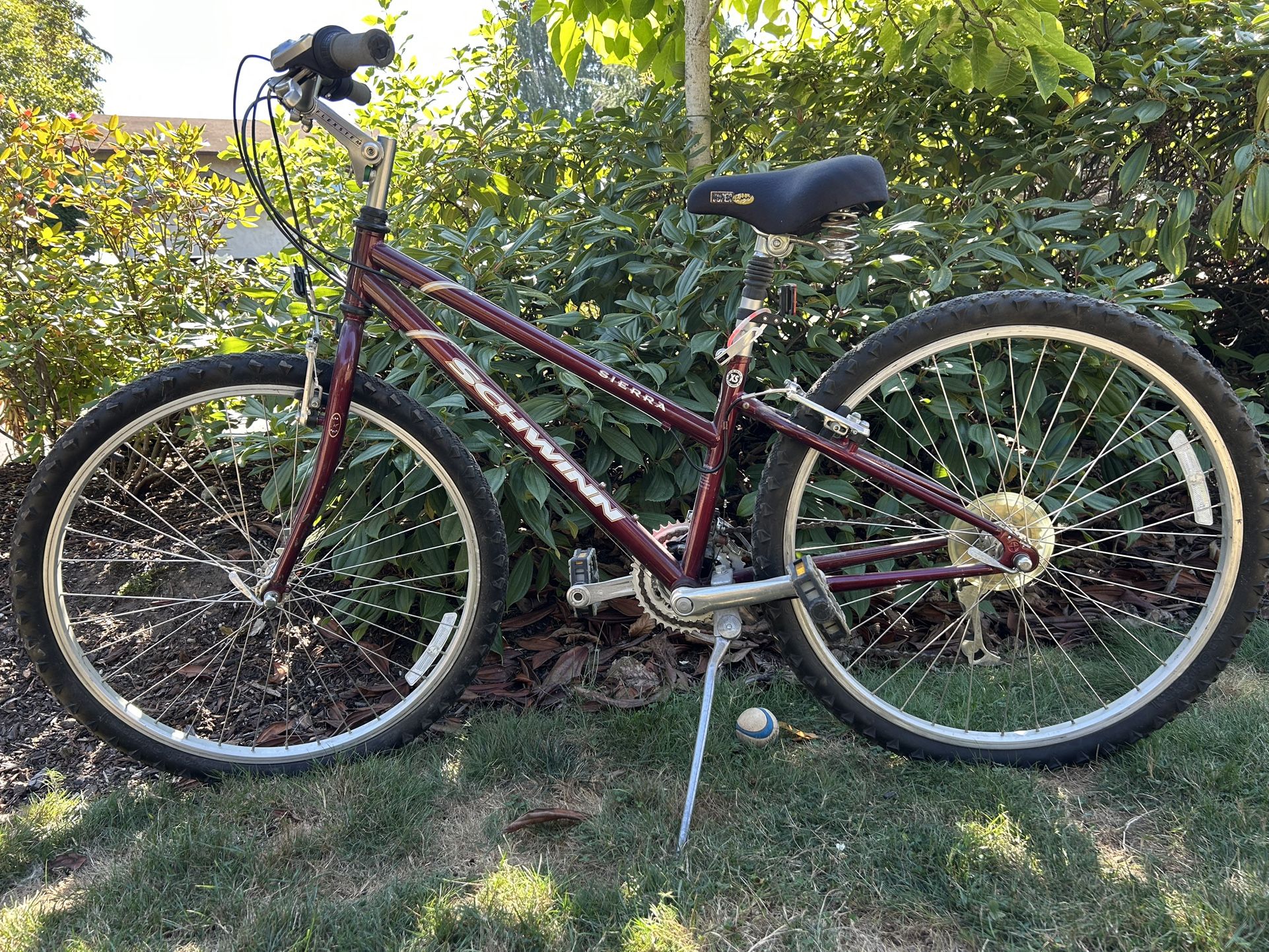 Woman Bicycle 