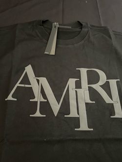 AMIRI Black Tonal Grey Logo Graphic T-Shirt
