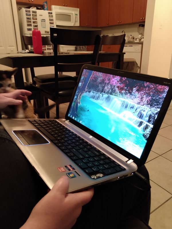 Hp laptop windows 7 for Sale in Miami, FL OfferUp