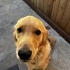 Andy