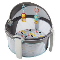 Fisher-Price On-the-Go Baby Dome - Windmill