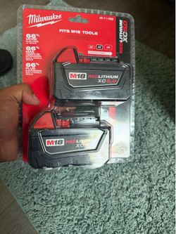 M18 18-Volt Lithium-Ion XC Extended Capacity 5.0 Ah Battery Pack (2-Pack)