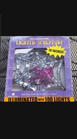 Lighted Halloween Spiderweb Halloween Decorations Box2